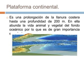 Plataforma continental.
 Es una prolongación de la llanura costera
hasta una profundidad de 200 m. En ella
abunda la vida animal y vegetal del fondo
oceánico por lo que es de gran importancia
económica.
 
