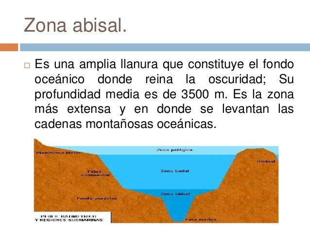 Plataforma en línea para opciones binarias Plataforma en línea para opciones binarias