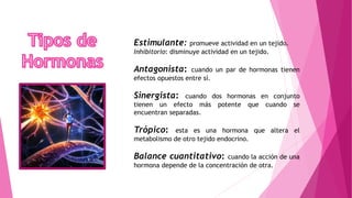 Estimulante: promueve actividad en un tejido.
Inhibitorio: disminuye actividad en un tejido.
Antagonista: cuando un par de hormonas tienen
efectos opuestos entre sí.
Sinergista: cuando dos hormonas en conjunto
tienen un efecto más potente que cuando se
encuentran separadas.
Trópico: esta es una hormona que altera el
metabolismo de otro tejido endocrino.
Balance cuantitativo: cuando la acción de una
hormona depende de la concentración de otra.
 