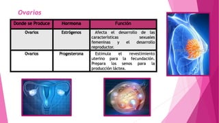 Ovarios
 