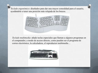 Teclado ergonómico: diseñados para dar una mayor comodidad para el usuario,
ayudándole a tener una posición más relajada de los brazos.




 Teclado multimedia: añade teclas especiales que llaman a algunos programas en
 el computador, a modo de acceso directo, como pueden ser el programa de
 correo electrónico, la calculadora, el reproductor multimedia…
 