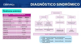 DIAGNÓSTICO SINDRÓMICO
Síndrome anémico
VCM normal: Eritrocitos normocíticos.
VCM disminuido (microcíticas): Eritrocitos
microcíticos.
VCM aumentado (macrocíticas): Eritrocitos
macrocíticos.
 