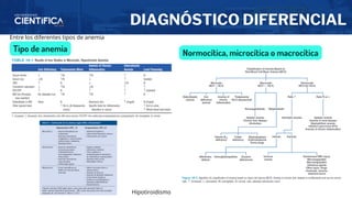 DIAGNÓSTICO DIFERENCIAL
Tipo de anemia Normocítica, microcítica o macrocítica
Entre los diferentes tipos de anemia
Hipotiroidismo
 