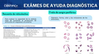 EXÁMES DE AYUDA DIAGNÓSTICA
Frotis de sangre periférica
Recuento de reticulocitos
Para evaluar la capacidad de la médula
ósea de aumentar la producción de
eritrocitos en respuesta a la anemia.
Diámetro, forma, color y las inclusiones de los
ertirocitos.
 
