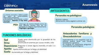 Anamnesis
Síntomas asociados
PICA
La anemia asociada a fiebre puede
ser signo de enfermedades
infercciosas,neoplasias,
enfermedades inmunitarias y crisis
hemolítica. Además si hay dolor
asociado.
Interrogar de manera dirigida acerca de
esta afección porque rara vez los
pacientes la refieren espontáneamente.
Pagofagia o geofagia.
Personales no patológicos
Alcohol o tabaco
Alimentación, dieta vegetal o animal. etc.
FUNCIONES BIOLÓGICAS
Sed
Orina
Deposiciones
Apetito
Sueño
Puede verse disminuida por la gravedad de los
síntomas.
Disminuida en anemias por causas renales, color
Preguntar si existe alguna anomalía, el color o si
sangra.
Apetito disminuido por la fatiga y la debilidad
Aumentado por la fatiga y debilidad
ANTECEDENTES
Antecedentes familiares y
Ginecoobstétricos
especialmente si se sospecha que la
anemia podría tener una causa
hereditaria o genética.
En mujeres es importante preguntar
antecedentes ginecológicos.
Personales patológicos
 