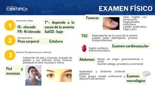 EXAMEN FÍSICO
1
2
3
fC- elevada
FR- N/elevada
T°- depende a la
causa de la anemia
SatO2- bajo
Funciones vitales
Peso corporal Estatura
Antropometría
Examen fíco general y por sistemas
Piel y
mucosas
Faneras
Coloración de piel y mucosas, el grado de
palidez y sus distintos tonos, ictericia,
petequias en piel, mucosas o retina.
Uñas frágiles con
estriaciones
longitudinales,
coiloniquia.
Cabello quebradizo,
frágil y seco
TSC Dependiendo de la causa de la anemia
pueden haber adenopatías- proceso
lindoproliferativo.
Examen cardiovascular
Soplos cardíacos
Edema secundario
Abdomen Masas de origen gastrointestinal o
renal.
Examen pélvigo, prostático y anorrectal
Examen
neurológico
Apalestesia y síndrome cordonal
posterior
Casos graves, estado confusional y
deterioro del sensorio
 