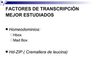 FACTORES DE TRANSCRIPCIÓN
MEJOR ESTUDIADOS

   Homeodominios:
     Hbox
     Mad   Box


   Hd-ZIP ( Cremallera de leucina)
 