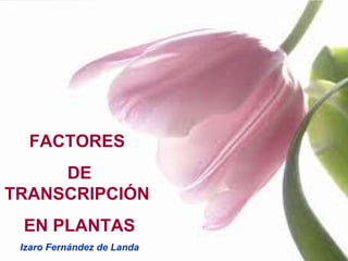 FACTORES
     DE
TRANSCRIPCIÓN
 EN PLANTAS
 Izaro Fernández de Landa
 