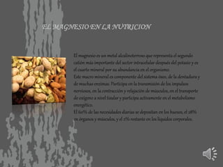 EL MAGNESIO EN LA NUTRICION
El magnesio es un metal alcalinoterroso que representa el segundo
catión más importante del sector intracelular después del potasio y es
el cuarto mineral por su abundancia en el organismo.
Este macro mineral es componente del sistema óseo, de la dentadura y
de muchas enzimas. Participa en la transmisión de los impulsos
nerviosos, en la contracción y relajación de músculos, en el transporte
de oxígeno a nivel tisular y participa activamente en el metabolismo
energético.
El 60% de las necesidades diarias se depositan en los huesos, el 28%
en órganos y músculos, y el 2% restante en los líquidos corporales.
 