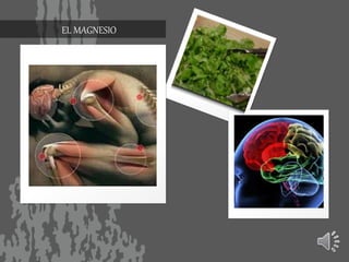 EL MAGNESIO
 