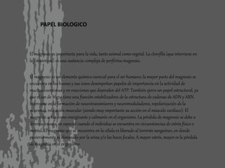 PAPEL BIOLOGICO
El magnesio es importante para la vida, tanto animal como vegetal. La clorofila (que interviene en
la fotosíntesis) es una sustancia compleja de porfirina-magnesio.
El magnesio es un elemento químico esencial para el ser humano; la mayor parte del magnesio se
encuentra en los huesos y sus iones desempeñan papeles de importancia en la actividad de
muchas coenzimas y en reacciones que dependen del ATP. También ejerce un papel estructural, ya
que el ion de Mg2+ tiene una función estabilizadora de la estructura de cadenas de ADN y ARN.
Interviene en la formación de neurotransmisores y neuromoduladores, repolarización de la
neuronas, relajación muscular (siendo muy importante su acción en el músculo cardíaco). El
magnesio actúa como energizante y calmante en el organismo. La pérdida de magnesio se debe a
diversas causas, en especial cuando el individuo se encuentra en circunstancias de estrés físico o
mental. El magnesio que se encuentra en la célula es liberado al torrente sanguíneo, en donde
posteriormente es eliminado por la orina y/o las heces fecales. A mayor estrés, mayor es la pérdida
de magnesio en el organismo.
 