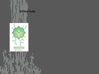 ESTRUCTURA
 