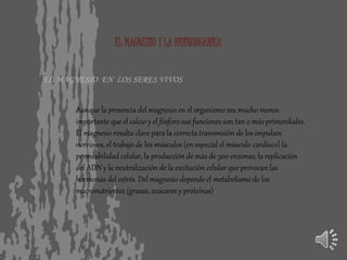 EL MAGNESIO Y LA BIOINORGANICA
EL MAGNESIO EN LOS SERES VIVOS
Aunque la presencia del magnesio en el organismo sea mucho menos
importante que el calcio y el fósforo sus funciones son tan o más primordiales.
El magnesio resulta clave para la correcta transmisión de los impulsos
nerviosos, el trabajo de los músculos (en especial el músculo cardíaco) la
permeabilidad celular, la producción de más de 300 enzimas, la replicación
del ADN y la neutralización de la excitación celular que provocan las
hormonas del estrés. Del magnesio depende el metabolismo de los
macronutrientes (grasas, azúcares y proteínas)
 