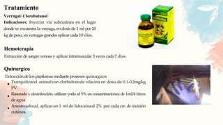 Tratamiento
Verrugal/ Clorobutanol
Indicaciones: Inyectar vía subcutánea en el lugar
donde se encuentra la verruga, en dosis de 1 ml por 20
kg de peso, en verrugas grandes aplicar cada 10 días.
Hemoterapia
Extracción de sangre venosa y aplicar intramuscular 3 veces cada 7 dias.
Quirurgico
Extracción de los papilomas mediante procesos quirurgicos
Tranquilizarel animalcon clorhidratode xilacina en dosis de 0.1-0.2mg/kg
PV.
Rasurado y desinfección, utilizar yodo al 5% en concentraciones de 1ml/4 litros
de agua.
Anestesialocal, aplicarun 1 ml de lidocaínaal 2% por cada cm de incisión
cutánea.
 