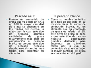 Pescado azul:
 Poseen un contenido de
grasa que va desde un 5% a
un 10% la mayor cantidad
de grasa se encuentra en
los tejidos del cuerpo, la
razón por la cual este tipo
de pescado acumula
cantidades de grasa
relativamente más altas en
comparación al pescado
blanco es porque este tipo
de pescado necesita
desplazarse distancias muy
largas para encontrar su
alimento.
El pescado blanco
 Como su nombre lo indica
este tipo de pescado en su
mayoría tiene la carne de
coloración blanca, es un
alimento que su contenido
de grasa es inferior al 2%,
este nivel de grasa se debe
a que este tipo de pez no
necesita desplazarse
grandes distancias para
encontrar su alimento,
razón por la cual su
contenido de grasa es bajo,
la mayor cantidad de grasa
se concentra en el hígado
 