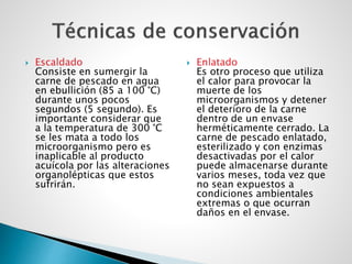  Escaldado
Consiste en sumergir la
carne de pescado en agua
en ebullición (85 a 100 °C)
durante unos pocos
segundos (5 segundo). Es
importante considerar que
a la temperatura de 300 °C
se les mata a todo los
microorganismo pero es
inaplicable al producto
acuícola por las alteraciones
organolépticas que estos
sufrirán.
 Enlatado
Es otro proceso que utiliza
el calor para provocar la
muerte de los
microorganismos y detener
el deterioro de la carne
dentro de un envase
herméticamente cerrado. La
carne de pescado enlatado,
esterilizado y con enzimas
desactivadas por el calor
puede almacenarse durante
varios meses, toda vez que
no sean expuestos a
condiciones ambientales
extremas o que ocurran
daños en el envase.
 