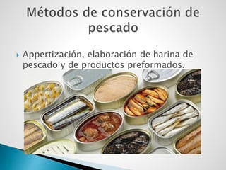  Appertización, elaboración de harina de
pescado y de productos preformados.
 