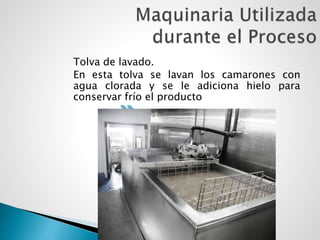 Tolva de lavado.
En esta tolva se lavan los camarones con
agua clorada y se le adiciona hielo para
conservar frío el producto
 
