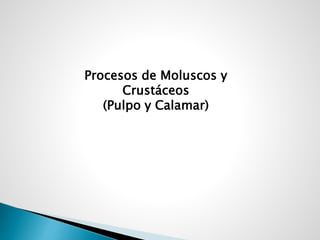 Procesos de Moluscos y
Crustáceos
(Pulpo y Calamar)
 