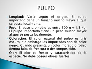  Longitud: Varía según el origen. El pulpo
importado tiene un tamaño mucho mayor al que
se pesca localmente.
 Peso: El peso promedio es entre 500 g y 1.5 kg.
El pulpo importado tiene un peso mucho mayor
al que se pesca localmente.
 Coloración: El color natural del pulpo es gris
oscuro, sin embargo los importados son de color
negro. Cuando presenta un color morado o rojizo
denota falta de frescura o descomposición.
 Olor: El olor es fresco y característico de la
especie. No debe poseer olores fuertes
 