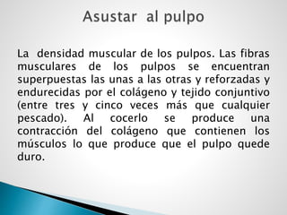 La densidad muscular de los pulpos. Las fibras
musculares de los pulpos se encuentran
superpuestas las unas a las otras y reforzadas y
endurecidas por el colágeno y tejido conjuntivo
(entre tres y cinco veces más que cualquier
pescado). Al cocerlo se produce una
contracción del colágeno que contienen los
músculos lo que produce que el pulpo quede
duro.
 