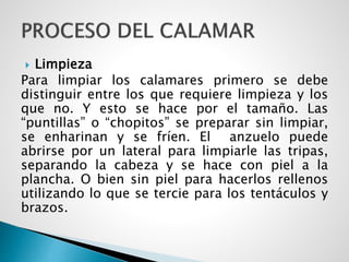  Limpieza
Para limpiar los calamares primero se debe
distinguir entre los que requiere limpieza y los
que no. Y esto se hace por el tamaño. Las
“puntillas” o “chopitos” se preparar sin limpiar,
se enharinan y se fríen. El anzuelo puede
abrirse por un lateral para limpiarle las tripas,
separando la cabeza y se hace con piel a la
plancha. O bien sin piel para hacerlos rellenos
utilizando lo que se tercie para los tentáculos y
brazos.
 