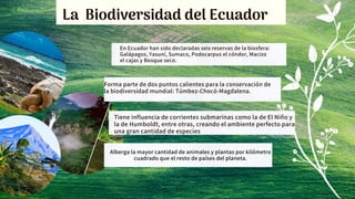 La Biodiversidad del Ecuador
En Ecuador han sido declaradas seis reservas de la biosfera:
Galápagos, Yasuní, Sumaco, Podocarpus el cóndor, Macizo
el cajas y Bosque seco.
Forma parte de dos puntos calientes para la conservación de
la biodiversidad mundial: Túmbez-Chocó-Magdalena.
Tiene influencia de corrientes submarinas como la de El Niño y
la de Humboldt, entre otras, creando el ambiente perfecto para
una gran cantidad de especies
Alberga la mayor cantidad de animales y plantas por kilómetro
cuadrado que el resto de países del planeta.
 