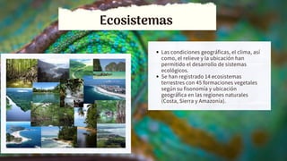 Ecosistemas
Las condiciones geográficas, el clima, así
como, el relieve y la ubicación han
permitido el desarrollo de sistemas
ecológicos.
Se han registrado 14 ecosistemas
terrestres con 45 formaciones vegetales
según su fisonomía y ubicación
geográfica en las regiones naturales
(Costa, Sierra y Amazonía).
 