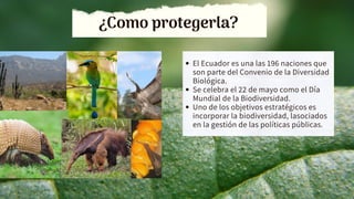 ¿Como protegerla?
El Ecuador es una las 196 naciones que
son parte del Convenio de la Diversidad
Biológica.
Se celebra el 22 de mayo como el Día
Mundial de la Biodiversidad.
Uno de los objetivos estratégicos es
incorporar la biodiversidad, lasociados
en la gestión de las políticas públicas.
 