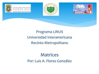 Programa LINUS
Universidad Interamericana
Recinto Metropolitano
Matrices
Por: Luis A. Flores González
 