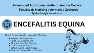 ENCEFALITIS EQUINA
Universidad Autónoma Benito Juárez de Oaxaca
Facultad de Medicina Veterinaria y Zootecnia
Epidemiología Veterinaria
Ángeles Santiago Joana
Rojas Luis Valeria Sofia
Ricardez González Sherlyn
Garcia Vicente Pactli
Esteva García Evelin Abigail
Jimenez Canseco Keren Romina
M.V.Z Gustavo Adolfo Hernández Villalobos
 