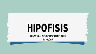 ERNESTO ALONSO CHAVERRIA FLORES
HISTOLOGIA
HIPOFISIS
 