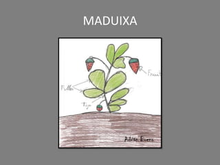 MADUIXA
Adrián Bueno
 