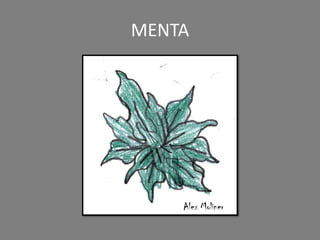 MENTA
Alex Moliner
 