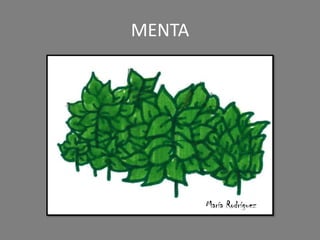 MENTA
María Rodríguez
 