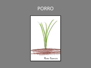 PORRO
Roser Carmona
 