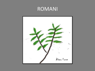 ROMANI
Álvaro Ponce
 