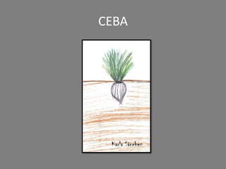 CEBA
Karla Sánchez
 
