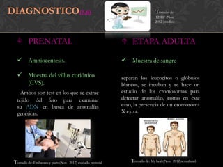 DIAGNOSTICO(5,6)                                                               Tomado de:
                                                                               123RF (Nov.
                                                                               2012 )medico




   PRENATAL                                                  ETAPA ADULTA

        Amniocentesis.                                         Muestra de sangre

        Muestra del villus coriónico                        separan los leucocitos o glóbulos
         (CVS).                                              blancos, se incuban y se hace un
    Ambos son test en los que se extrae                      estudio de los cromosomas para
  tejido del feto para examinar                              detectar anomalías, como en este
  su ADN en busca de anomalías                               caso, la presencia de un cromosoma
  genéticas.                                                 X extra.




 Tomado de: Embarazo y parto(Nov.   2012) cuidado prenatal       Tomado de: My healt(Nov.   2012)sexualidad
 