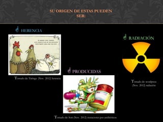SU ORIGEN DE ESTAS PUEDEN
                                          SER:


 HERENCIA
                                                                                                RADIACIÓN



                                              PRODUCIDAS
Tomado de: Taringa   (Nov. 2012) herencia
                                                                                                 Tomado de: wordpress
                                                                                                  (Nov. 2012) radiación




                                   Tomado de: Sott (Nov.   2012) mutaciones por antibióticos
 