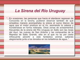 La Sirena del Río Uruguay “ ...En ocasiones, las personas que hacia el atardecer regresan de Concordia en la lancha, pudieron observar también de qué simpática manera acompañaba la sirena el surco blanco de agua que el motor produce en el río, asomando la cabeza y hundiéndose en forma reiterada. Otras zonas de avistamientos frecuentes de la sirena del Río Uruguay en Salto son las rocas del Ayuí, las cuevas de San Antonio y las compuertas de la Represa de Salto Grande, sitio en el que no es por cierto infrecuente advertir a este fantástico animal, saltando alegremente junto a los dorados en los torbellinos de agua..” 