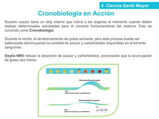 Cronobiología en Acción
Nuestro cuerpo tiene un reloj interno que indica a los órganos el momento cuando deben
realizar determinadas actividades para el correcto funcionamiento del sistema. Esto es
conocido como Cronobiología.
Durante la noche, el almacenamiento de grasa aumenta, pero este proceso puede ser
balanceado disminuyendo la cantidad de azúcar y carbohidratos disponibles en el torrente
sanguíneo.
Oxylia NR® reduce la absorción de azúcar y carbohidratos, provocando que la acumulación
de grasa sea menor.
4 Ciencia Sanki Mayor
 