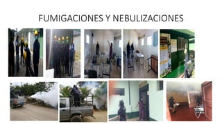 FUMIGACIONES Y NEBULIZACIONES
 
