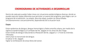 Dentro de cada país pueden haber áreas con situaciones epidemiológicas diversas, donde se
pueden ejecutar etapas diferentes que permitan un avance del programa, para llegar a ser un
programa de erradicación. Las etapas, descritas abajo, pueden ser desarrolladas
simultáneamente o secuencialmente, dependiendo de la situación local.
Etapas
Evitar epidemias de dengue, dengue hemorrágico y fiebre amarilla urbana, por medio de la
vigilancia epidemiológica y el combate del Ae. aegypti en las áreas de alto riesgo.
Evitar brotes de dengue reduciendo la infestación del Ae. aegypti a < 1 % de las viviendas
infestadas.
Interrumpir la transmisión de dengue.
Erradicar el Ae. aegypti.
Vigilar la reinfestación de áreas libres del vector.
CRONOGRAMA DE ACTIVIDADES A DESARROLLAR
 