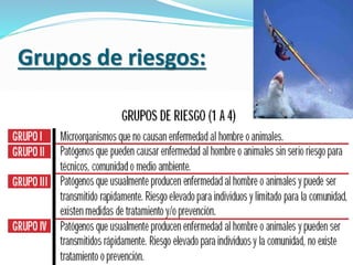 Grupos de riesgos:
 
