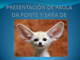 PRESENTACIÓN DE PAULA DA PONTE Y SARA DE 