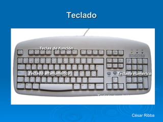 Teclado Teclado de edición César Ribba 