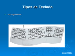 Tipos de Teclado Tipo ergonómico César Ribba 