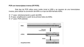 PCR con transcriptasa inversa (RT-PCR).
Este tipo de PCR utiliza como molde inicial el ARN y se requiere de una transcriptasa
inversa, para realizar la conversión del ARN a un tipo de ADN llamado ADNc.
 1.er paso: retrotranscripción a partir del ARN.
 2º paso: amplificación a partir de la primera hebra de ADNc.
 3.er paso: PCR estándar.
 