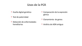 † Huella digital genética
† Test de paternidad
† Detección de enfermedades
hereditarias
† Comparación de la expresión
génica
† Clonamiento de genes
† Análisis de ADN antiguo
 
